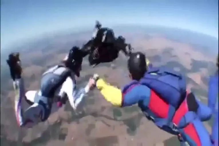 Otis le carlin qui fait du parachutisme