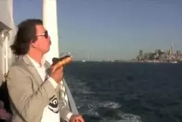 Attention à la mouette