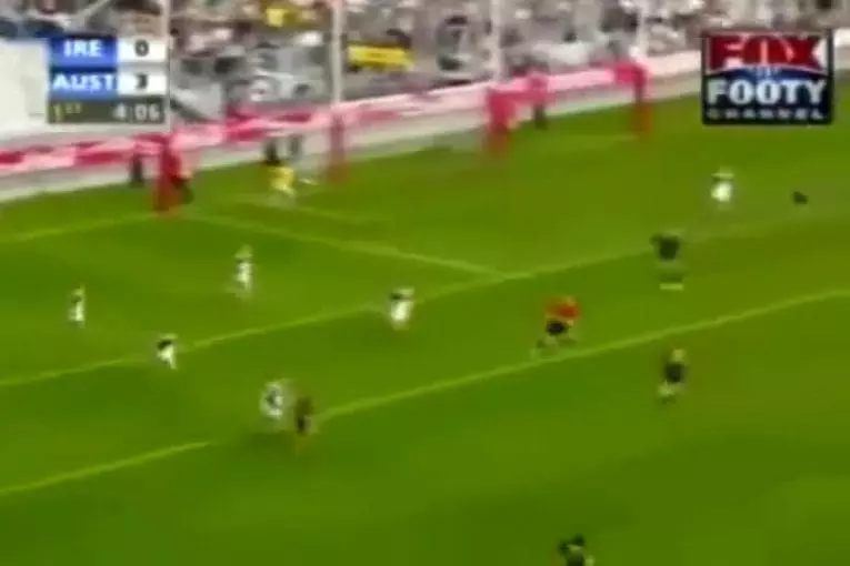 Chien se balade pendant 8min sur le terrain durant un match international