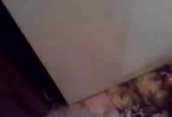 Chat possédé par le diable