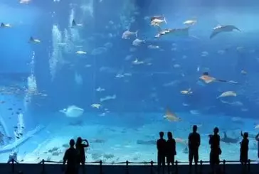 Un des plus grands aquariums du monde