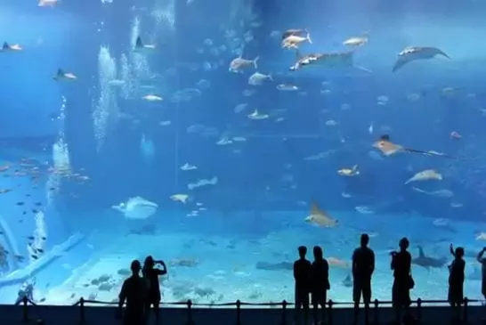 Un des plus grands aquariums du monde