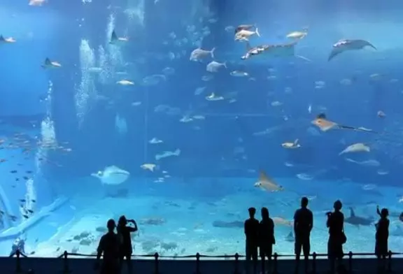 Un des plus grands aquariums du monde