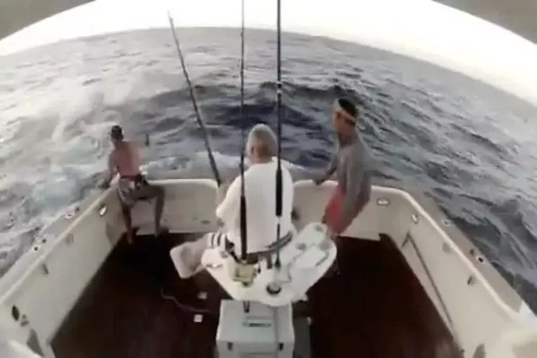 Espadon poursuit un pêcheur sur son bateau