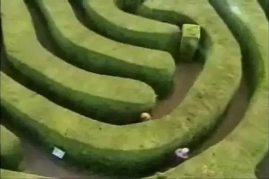 Haie labyrinthe farce