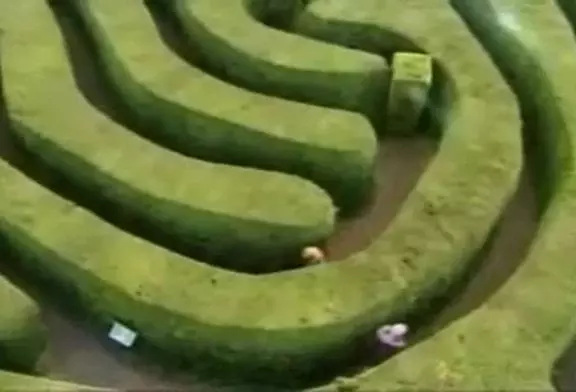 Haie labyrinthe farce