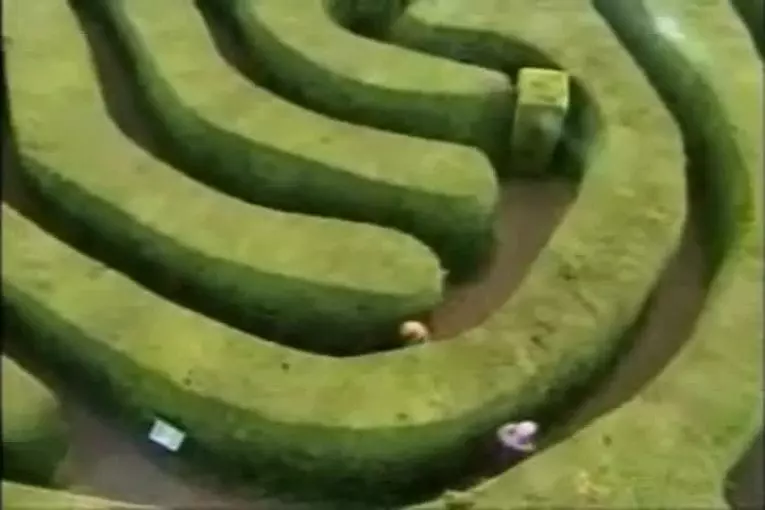 Haie labyrinthe farce