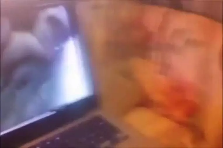 Chien paranormal