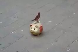 Oiseaux mendicité en Chine