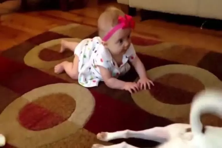 Chien tente d’enseigner bébé comment ramper