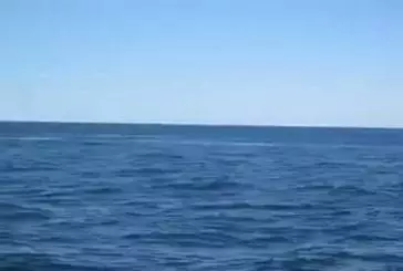 Génial près baleine saut