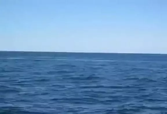 Génial près baleine saut