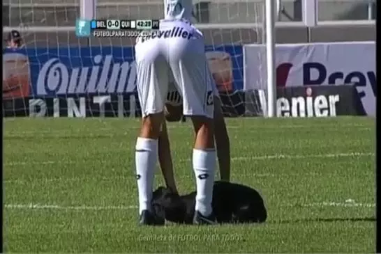 Chien interrompt jeu de soccer pour un massage du ventre