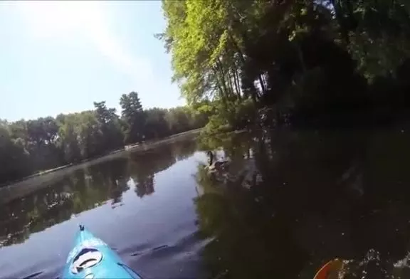 Passer sa vie à s'entrainer pour devenir le meilleur