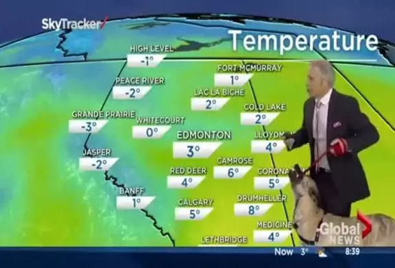 Ondulation le chien ne se soucie pas de Mike Sobel et les prévisions météo