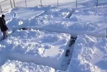 Un chien dans un labyrinthe de neige