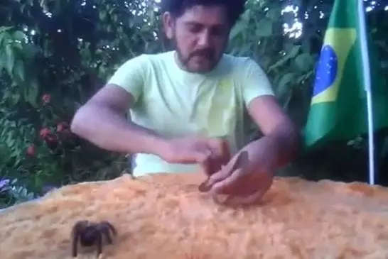 Gars brésilien fou enfonce un serpent venimeux et tarentule dans sa bouche