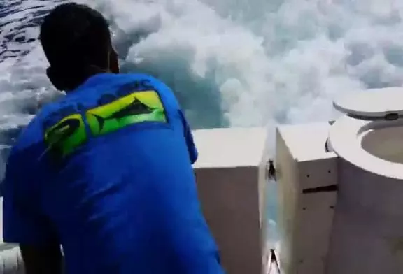 Lion de mer monte sur le bateau pour obtenir un poisson