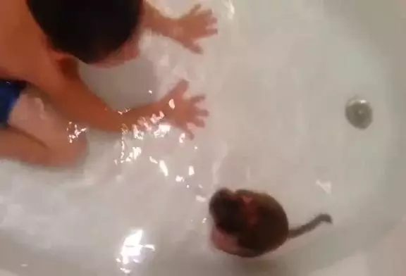 Singe piscine dans la baignoire avec un enfant