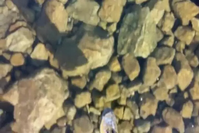 Marcher sur la glace dans les montagnes slovaques propre