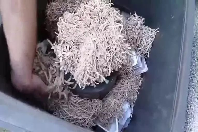 Couper une balle de bande de caoutchouc dans la moitié