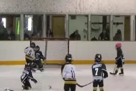 Les gens disent le hockey est un sport brutal