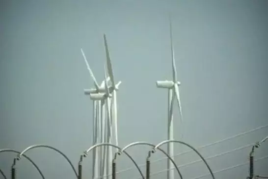 Arbre à vent utilise des feuilles micro-turbine pour produire de l'électricité