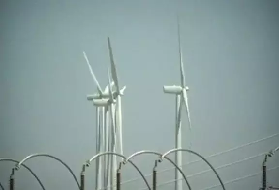 Arbre à vent utilise des feuilles micro-turbine pour produire de l'électricité