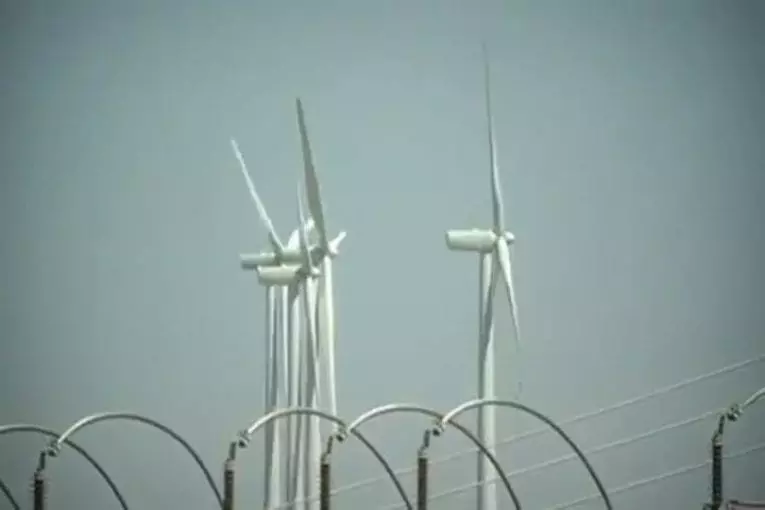 Arbre à vent utilise des feuilles micro-turbine pour produire de l'électricité