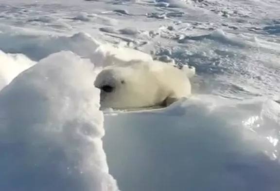 Joint bébé jouant dans la neige