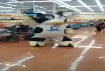 La danse supermarché de la vache