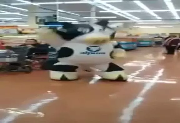 La danse supermarché de la vache