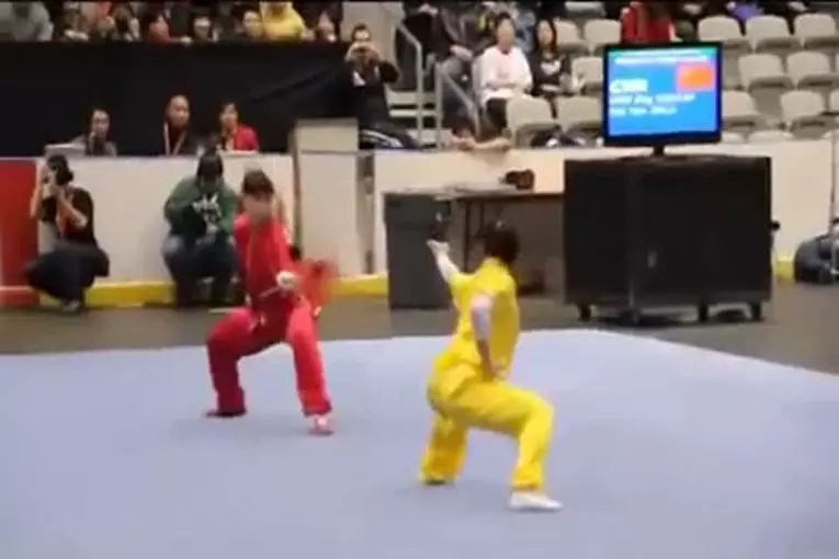 Championnat du wushu fou
