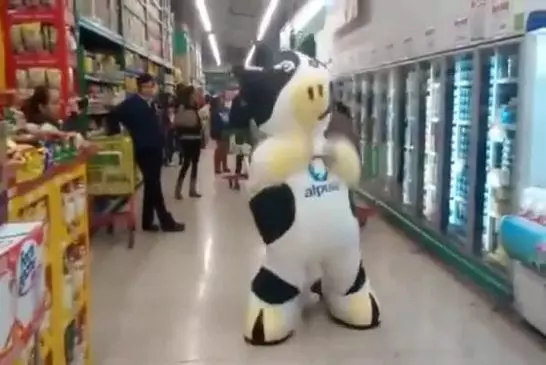 La vache de danse frappe à nouveau