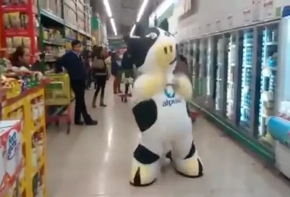 La vache de danse frappe à nouveau