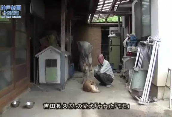 Coexistence harmonieuse au Japon