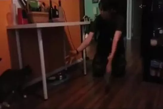 Chats accueillants leur maître militaire... ou pas !