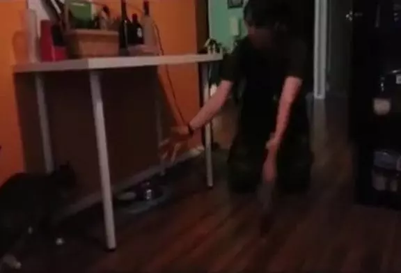 Chats accueillants leur maître militaire... ou pas !