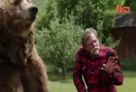 Lutte un grizzly dans le jardin