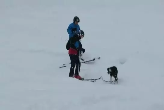 Chien arrête 2 skieurs pour obtenir une aide très importante