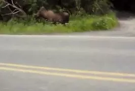 Solo randonnée alaska 2014