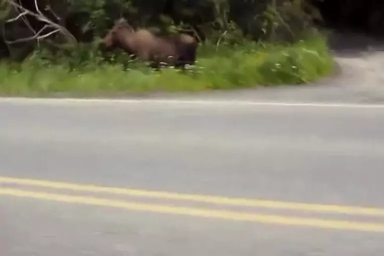 Solo randonnée alaska 2014