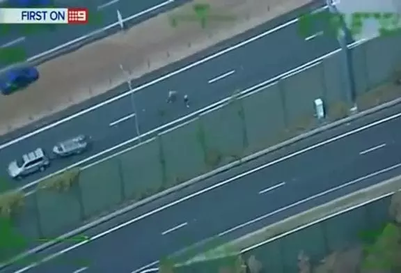 Chauffard écrasé sur l'autoroute australienne