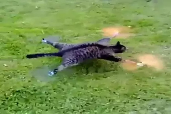 Video Humour Fail Insolite Délire 030