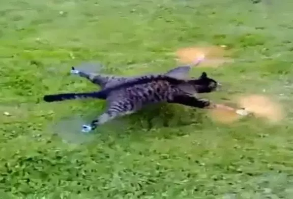 Video Humour Fail Insolite Délire 030