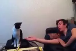 Video Humour Fail Insolite Délire 056
