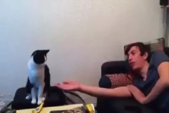 Video Humour Fail Insolite Délire 056