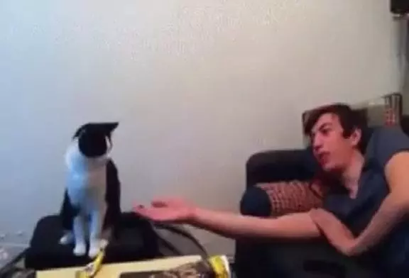 Video Humour Fail Insolite Délire 056