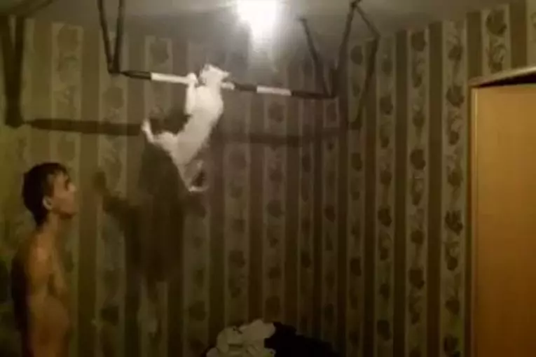 Video Humour Fail Insolite Délire 150