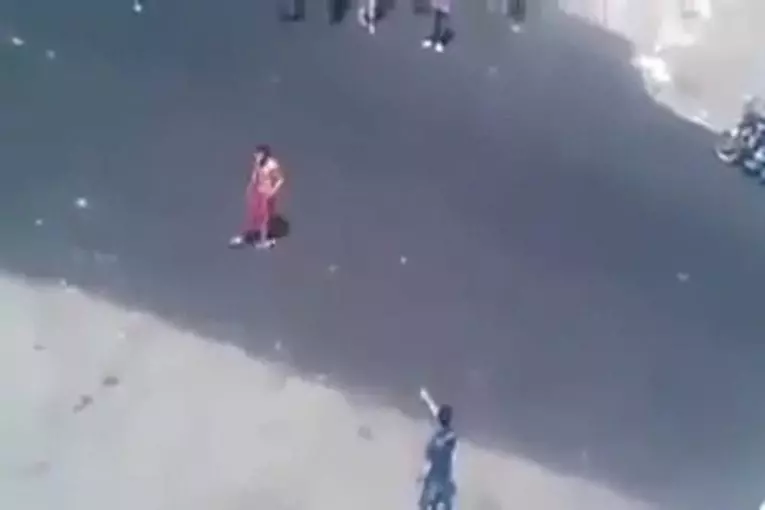 2 chiens attaquent un mec en pleine rue